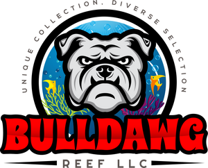 Bulldawg Reef LLC