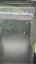 Load and play video in Gallery viewer, Copepod Mix
